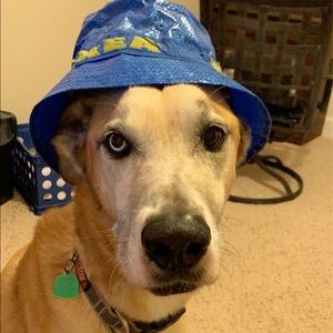 Meet your Posher, Matthew